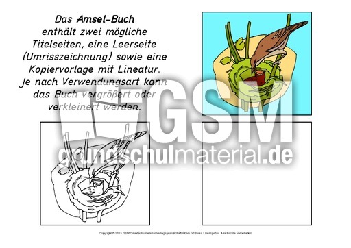 Mini-Buch-Amsel-B.pdf